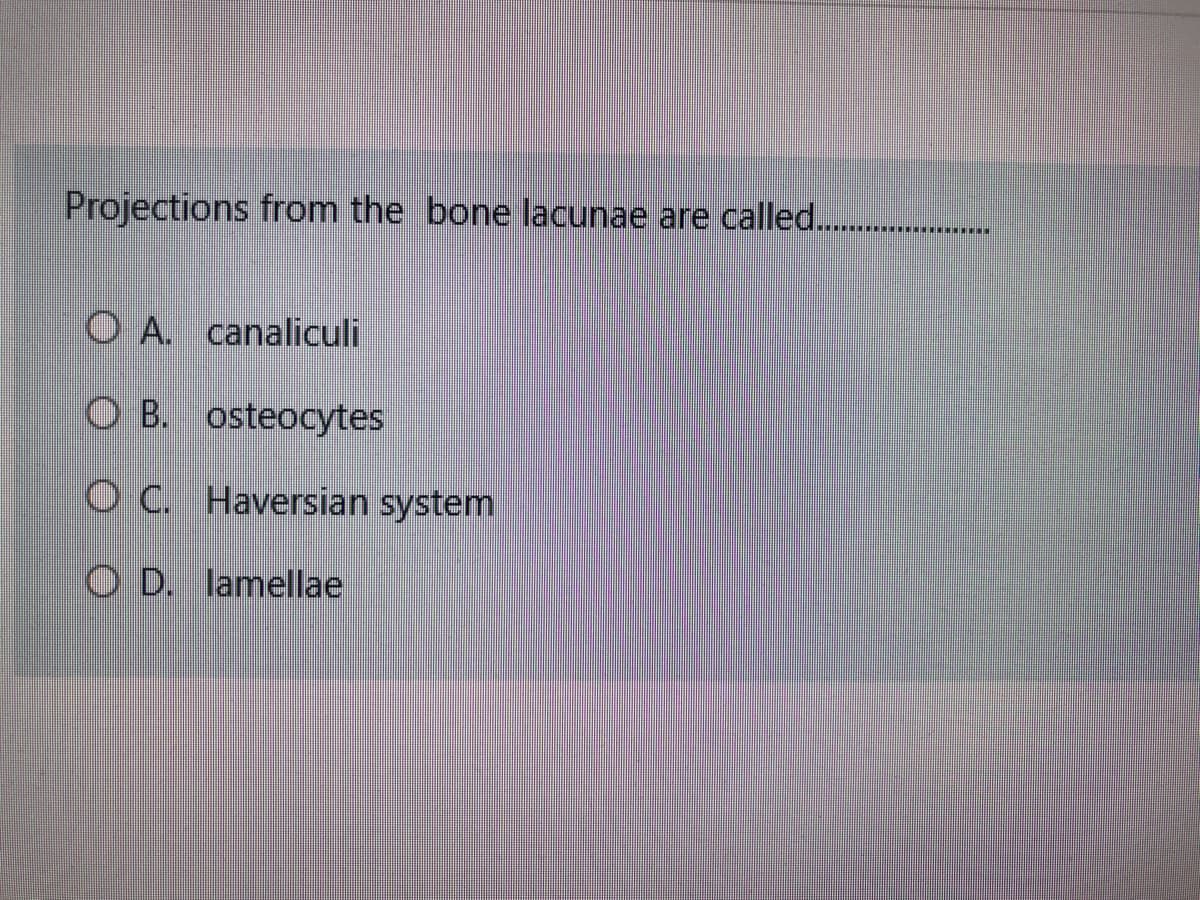 Projections from the bone lacunae are called..
O A. canaliculi
О В. Osteocytes
O C. Haversian system
O D. lamellae
