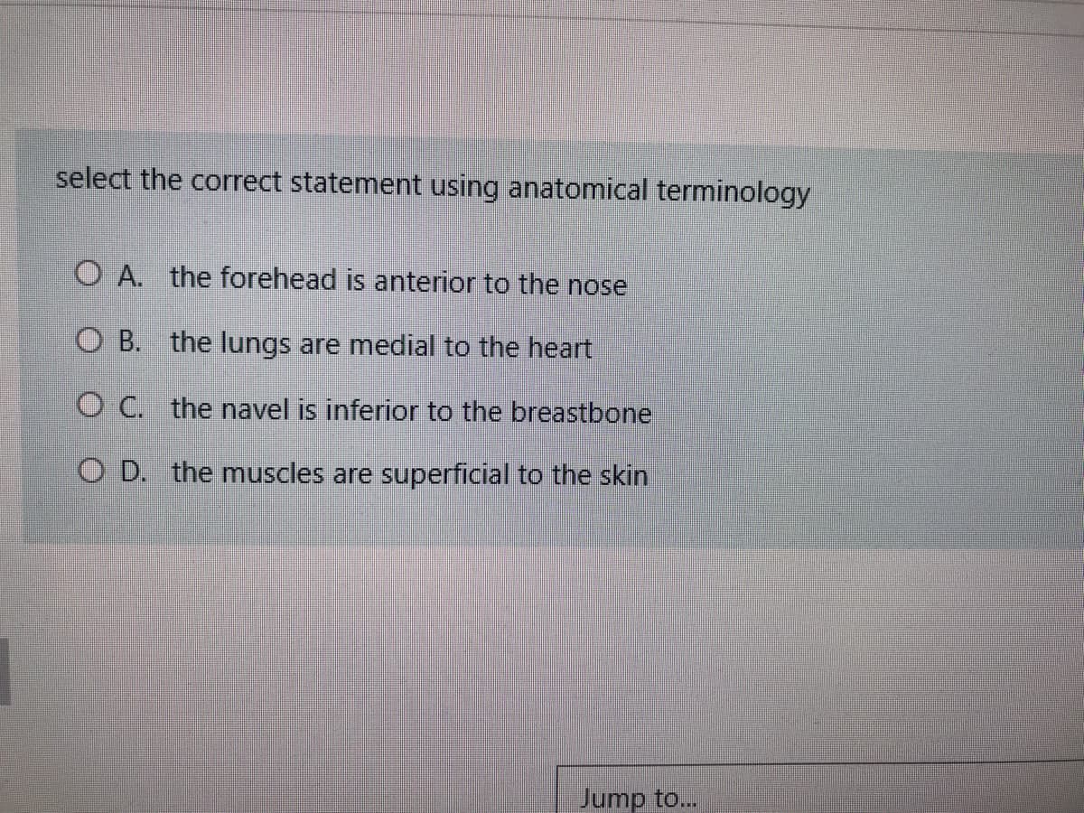 select the correct statement using anatomical terminology
O A. the forehead is anterior to the nose
O B. the lungs are medial to the heart
O C. the navel is inferior to the breastbone
O D. the muscles are superficial to the skin
Jump to...
