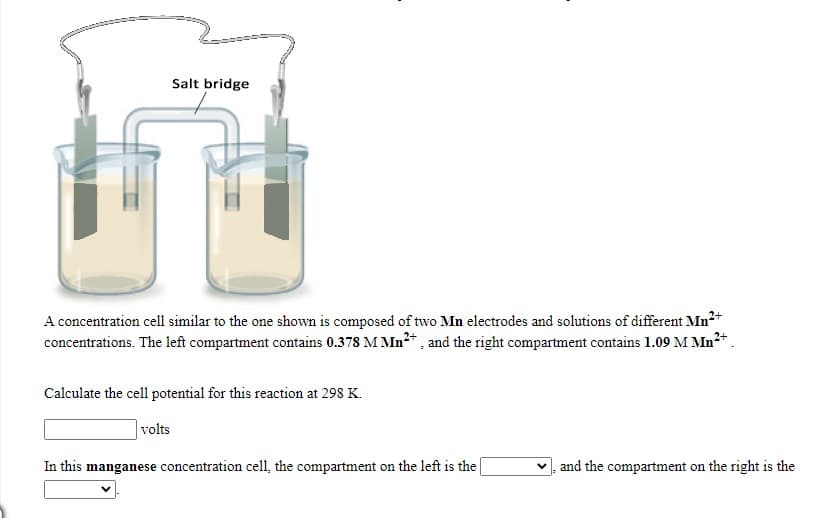 Salt bridge
A concentration cell similar to the one shown is composed of two Mn electrodes and solutions of different Mn2+
concentrations. The left compartment contains 0.378 M Mn²* , and the right compartment contains 1.09 M Mn2+ .
Calculate the cell potential for this reaction at 298 K.
|volts
In this manganese concentration cell, the compartment on the left is the
and the compartment on the right is the
