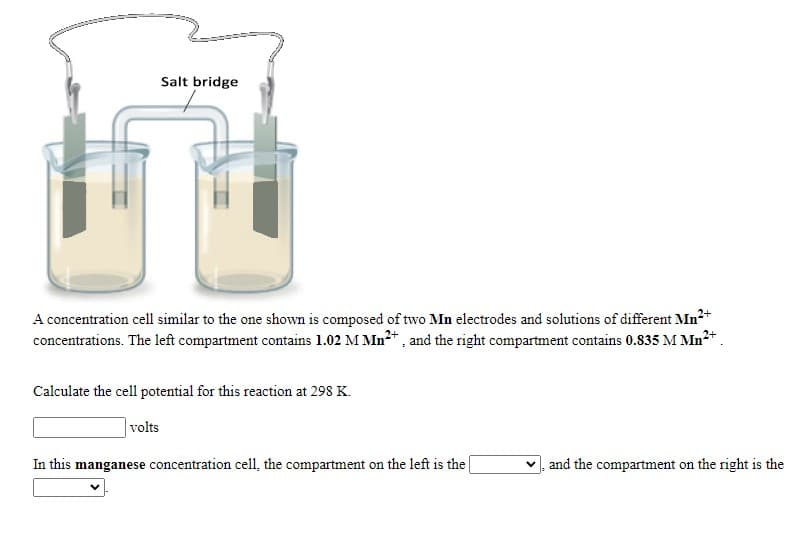 Salt bridge
A concentration cell similar to the one shown is composed of two Mn electrodes and solutions of different Mn+
concentrations. The left compartment contains 1.02 M Mn2*, and the right compartment contains 0.835 M Mn*.
Calculate the cell potential for this reaction at 298 K.
volts
In this manganese concentration cell, the compartment on the left is the
and the compartment on the right is the
