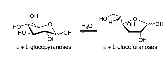 HO
HO
OH
H3O+
OH
OH
a+b glucopyranoses
.OH
HO
OH
номе
OH
a+b glucofuranoses