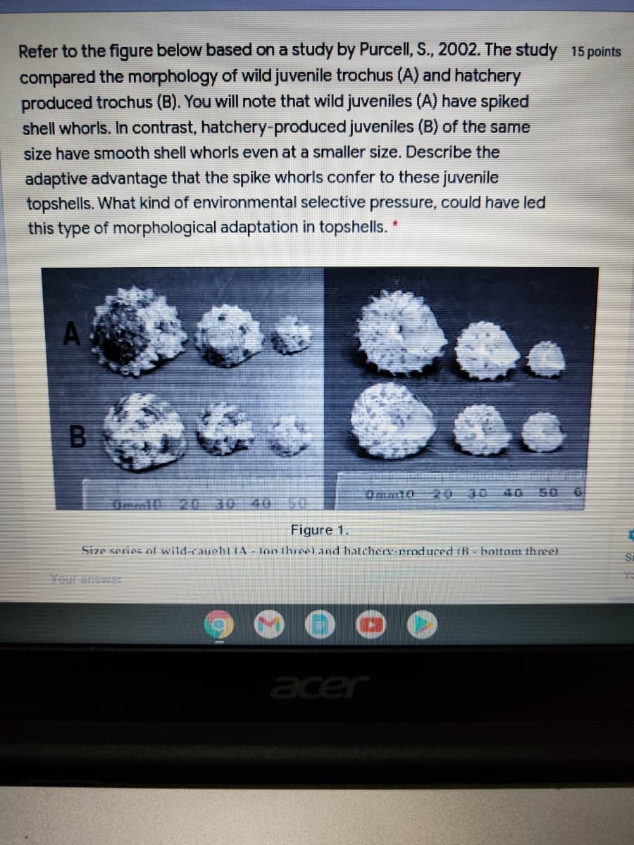 Refer to the figure below based on a study by Purcell, S., 2002. The study 15 points
compared the morphology of wild juvenile trochus (A) and hatchery
produced trochus (B). You will note that wild juveniles (A) have spiked
shell whorls. In contrast, hatchery-produced juveniles (B) of the same
size have smooth shell whorls even at a smaller size. Describe the
adaptive advantage that the spike whorls confer to these juvenile
topshells. What kind of environmental selective pressure, could have led
this type of morphological adaptation in topshells. *
20 30 iū 50
Dm1020 3040
50
Figure 1.
Size series of wild-caught (A - lon three) and hatchery-produced tB - bottom threel
Si
Your answer
acer
