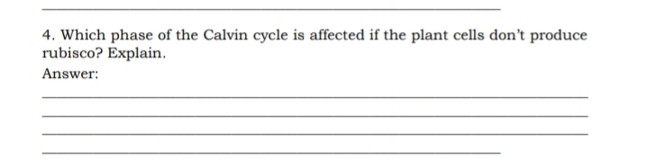 4. Which phase of the Calvin cycle is affected if the plant cells don't produce
rubisco? Explain.
Answer:
