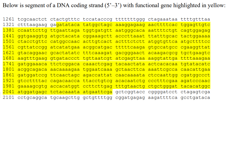 Below is segment of a DNA coding strand (5'-3') with functional gene highlighted in yellow:
1261 tcgcaactct ctactgtttc tccatacccg tttttttggg ctagaaataa ttttgtttaa
1321 ctttaagaag gagatataca tatggctage aaaggagaag aacttttcac tggagttgtc
1381 ccaattcttg ttgaattaga tggtgatgtt aatgggcaca aattttctgt cagtggagag
1441 ggtgaaggtg atgctacata cggaaagctt acccttaaat ttatttgcac tactggaaaa
1501 ctacctgttc catggccaac acttgtcact actttctctt atggtgttca atgcttttcc
1561 cgttatccgg atcatatgaa acggcatgac tttttcaaga gtgccatgcc cgaaggttat
1621 gtacaggaac gcactatatc tttcaaagat gacgggaact acaagacgcg tgctgaagtc
1681 aagtttgaag gtgataccct tgttaatcgt atcgagttaa aaggtattga ttttaaagaa
1741 gatggaaaca ttctcggaca caaactcgag tacaactata actcacacaa tgtatacatc
1801 acggcagaca aacaaaagaa tggaatcaaa gctaacttca aaattcgcca caacattgaa
1861 gatggatccg ttcaactagc agaccattat caacaaaata ctccaattgg cgatggccct
1921 gtccttttac cagacaacca ttacctgtcg acacaatctg ccctttcgaa agatcccaac
1981 gaaaagcgtg accacatggt ccttcttgag tttgtaactg ctgctgggat tacacatggc
2041 atggatgagc tctacaaata atgaattcga gctcggtacc cggggatcct ctagagtcga
2101 cctgcaggca tgcaagcttg gctgttttgg cggatgagag aagattttca gcctgataca