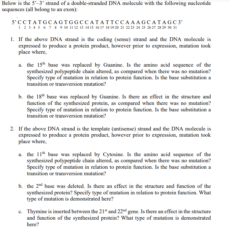 Below is the 5'-3' strand of a double-stranded DNA molecule with the following nucleotide
sequences (all belong to an exon):
5'CCTATGCAGTGGCCATATTCCAAAGCATAGC3'
1 2 3 4 5 6 7 8 9 10 11 12 13 14 15 16 17 18 19 20 21 22 23 24 25 26 27 28 29 30 31
1. If the above DNA strand is the coding (sense) strand and the DNA molecule is
expressed to produce a protein product, however prior to expression, mutation took
place where,
a. the 15th base was replaced by Guanine. Is the amino acid sequence of the
synthesized polypeptide chain altered, as compared when there was no mutation?
Specify type of mutation in relation to protein function. Is the base substitution a
transition or transversion mutation?
b. the 18th base was replaced by Guanine. Is there an effect in the structure and
function of the synthesized protein, as compared when there was no mutation?
Specify type of mutation in relation to protein function. Is the base substitution a
transition or transversion mutation?
2. If the above DNA strand is the template (antisense) strand and the DNA molecule is
expressed to produce a protein product, however prior to expression, mutation took
place where,
a. the 11th base was replaced by Cytosine. Is the amino acid sequence of the
synthesized polypeptide chain altered, as compared when there was no mutation?
Specify type of mutation in relation to protein function. Is the base substitution a
transition or transversion mutation?
b. the 2nd base was deleted. Is there an effect in the structure and function of the
synthesized protein? Specify type of mutation in relation to protein function. What
type of mutation is demonstrated here?
c. Thymine is inserted between the 21st and 22nd gene. Is there an effect in the structure
and function of the synthesized protein? What type of mutation is demonstrated
here?