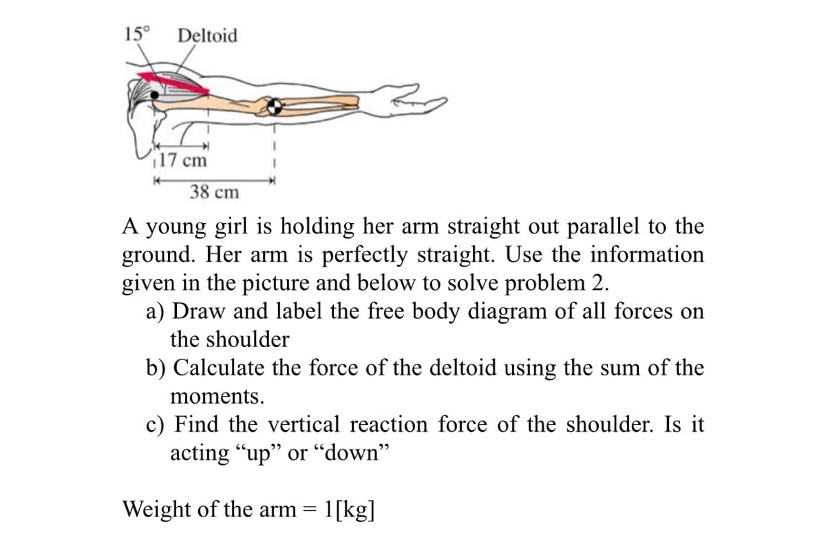 15°
Deltoid
17 cm
38 cm
A young girl is holding her arm straight out parallel to the
ground. Her arm is perfectly straight. Use the information
given in the picture and below to solve problem 2.
a) Draw and label the free body diagram of all forces on
the shoulder
b) Calculate the force of the deltoid using the sum of the
moments.
c) Find the vertical reaction force of the shoulder. Is it
acting "up" or “down"
לי
Weight of the arm = 1[kg]
