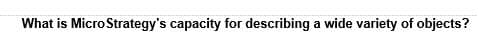 What is Micro Strategy's capacity for describing a wide variety of objects?