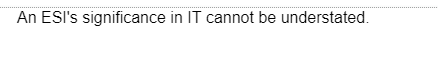 An ESI's significance in IT cannot be understated.