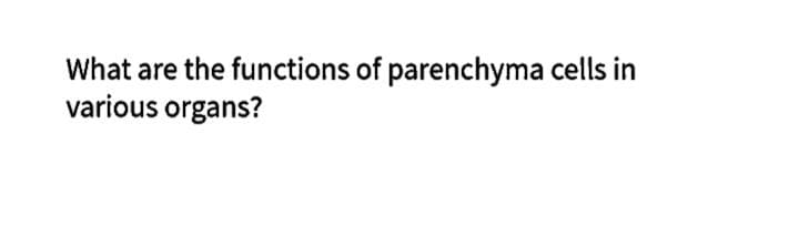 What are the functions of parenchyma cells in
various organs?
