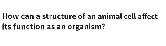 How can a structure of an animal cell affect
its function as an organism?
