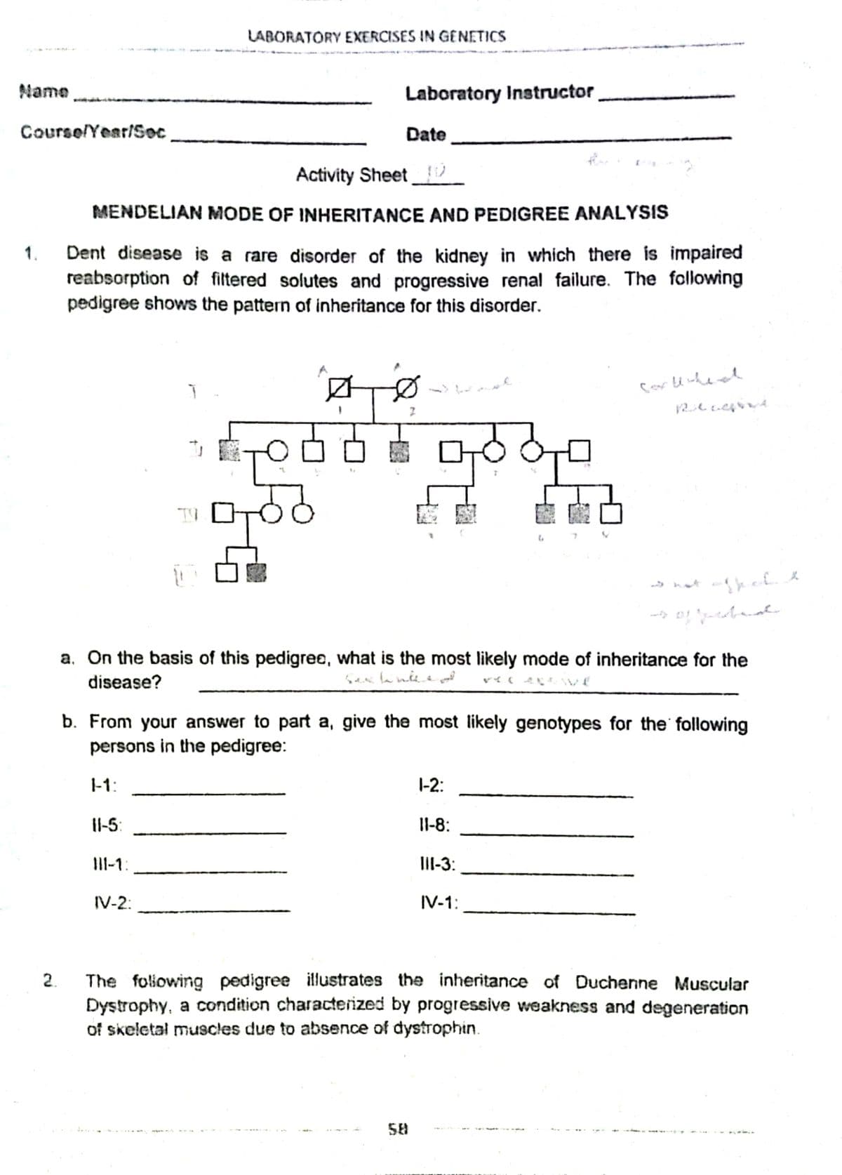 LABORATORY EXERCISES IN GENETICS
Name
Laboratory Instructor
CourselYear/Soc
Date
Activity Sheet
MENDELIAN MODE OF INHERITANCE AND PEDIGREE ANALYSIS
Dent disease is a rare disorder of the kidney in which there is impaired
reabsorption of fitered solutes and progressive renal failure. The following
pedigree shows the pattern of inheritance for this disorder.
1.
a. On the basis of this pedigree, what is the most likely mode of inheritance for the
disease?
b. From your answer to part a, give the most likely genotypes for the following
persons in the pedigree:
|-1:
1-2:
II-5:
Il-8:
III-1:
III-3:
IV-2:
IV-1:
2.
The foliowing pedigree illustrates the inheritance of Duchenne Muscular
Dystrophy, a condition characterized by progressive weakness and degeneration
of skeletal muscles due to absence of dystrophin.
58
