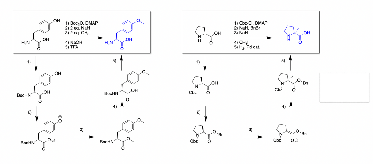 H₂N
OH
OH
1) Boc₂O, DMAP
2) 2 eq. NaH
3) 2 eq. CH3l
4) NaOH
5) TFA
1)
BocHN
BocHN
OH
OH
OO
3)
H₂N
OH
HO
OH
1) Cbz-Cl, DMAP
2) NaH, BnBr
3) NaH
4) CH3l
5) H₂, Pd cat.
5)
ΖΙ
OH
Bn
OH
N
Cbz
OH
Cbz
BocHN
2)
Bn
Cbz
BocHN
3)
N
Cbz
Bn