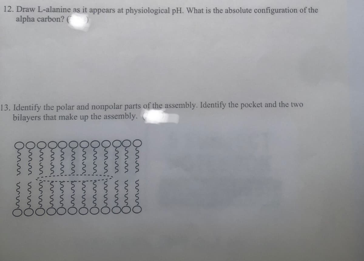 12. Draw L-alanine as it appears at physiological pH. What is the absolute configuration of the
alpha carbon? (
13. Identify the polar and nonpolar parts of the assembly. Identify the pocket and the two
bilayers that
make up
the
assembly.
Omon wo
0mm ww0
Ommnimo
Omnimo
Omnimo
Omnimo
Omm mo
Omnimo
Om ww
Om ww
Om ww
Omm ww