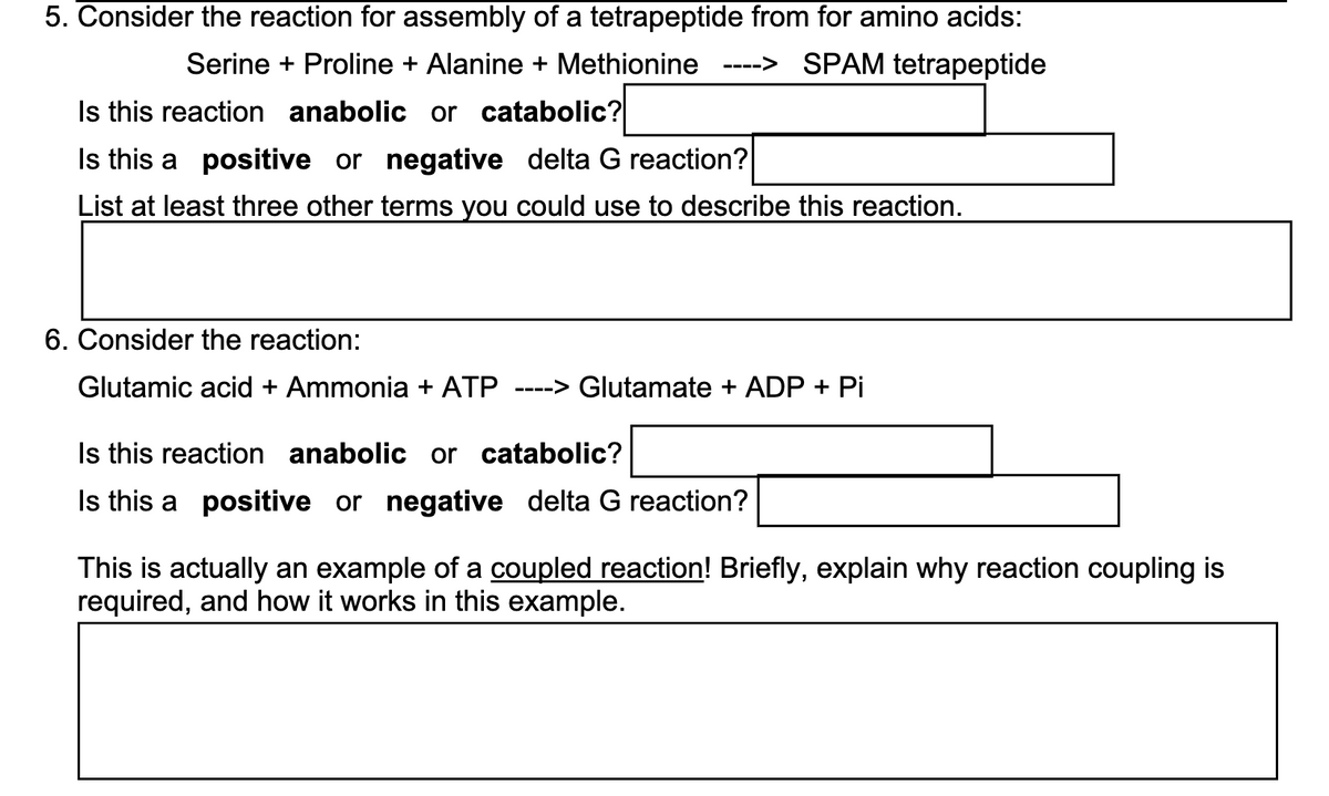 5. Consider the reaction for assembly of a tetrapeptide from for amino acids:
Serine + Proline + Alanine + Methionine ----> SPAM tetrapeptide
Is this reaction anabolic or catabolic?
Is this a positive or negative delta G reaction?
List at least three other terms you could use to describe this reaction.
6. Consider the reaction:
Glutamic acid + Ammonia + ATP
----> Glutamate + ADP + Pi
Is this reaction anabolic or catabolic?
Is this a positive or negative delta G reaction?
This is actually an example of a coupled reaction! Briefly, explain why reaction coupling is
required, and how it works in this example.