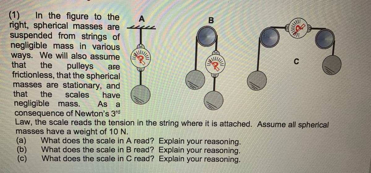 (1)
right, spherical masses are
suspended from strings of
negligible mass in various
ways. We will also assume
that
In the figure to the
A
the
pulleys
are
frictionless, that the spherical
masses are stationary, and
that
negligible mass.
the
scales
have
As a
consequence of Newton's 3rd
Law, the scale reads the tension in the string where it is attached. Assume all spherical
masses have a weight of 10 N.
(а)
(b)
(c)
What does the scale in A read? Explain your reasoning.
What does the scale in B read? Explain your reasoning.
What does the scale in C read? Explain your reasoning.
C.
