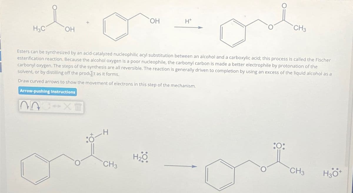 H3C
OH
OH
H+
CH3
Esters can be synthesized by an acid-catalyzed nucleophilic acyl substitution between an alcohol and a carboxylic acid; this process is called the Fischer
esterification reaction. Because the alcohol oxygen is a poor nucleophile, the carbonyl carbon is made a better electrophile by protonation of the
carbonyl oxygen. The steps of the synthesis are all reversible. The reaction is generally driven to completion by using an excess of the liquid alcohol as a
solvent, or by distilling off the product as it forms.
Draw curved arrows to show the movement of electrons in this step of the mechanism.
Arrow-pushing Instructions
CIX
10-4
H₂O
CH3
H₂O
CH3