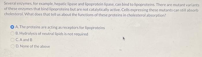 Several enzymes, for example, hepatic lipase and lipoprotein lipase, can bind to lipoproteins. There are mutant variants
of these enzymes that bind lipoproteins but are not catalytically active. Cells expressing these mutants can still absorb
cholesterol. What does that tell us about the functions of these proteins in cholesterol absorption?
A. The proteins are acting as receptors for lipoproteins
B. Hydrolysis of neutral lipids is not required
C. A and B
D. None of the above
