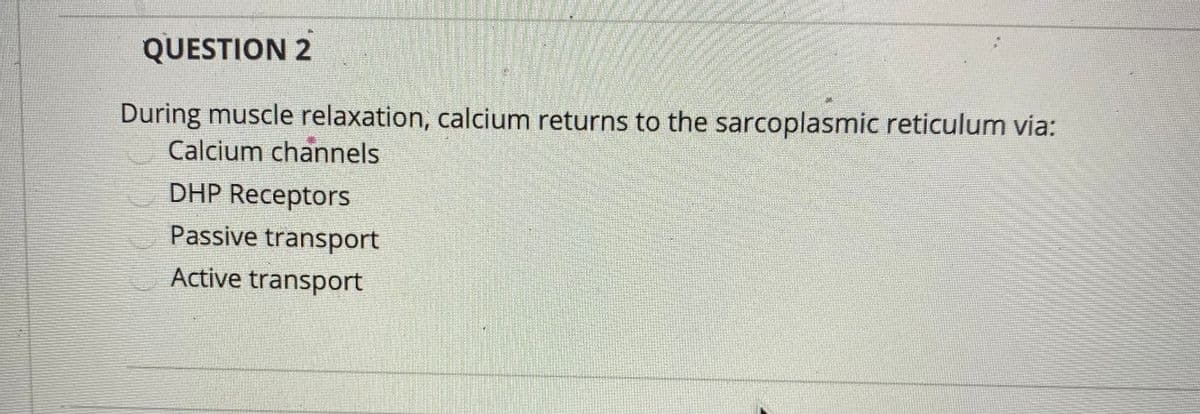 QUESTION 2
During muscle relaxation, calcium returns to the sarcoplasmic reticulum via:
Calcium channels
DHP Receptors
Passive transport
Active transport
