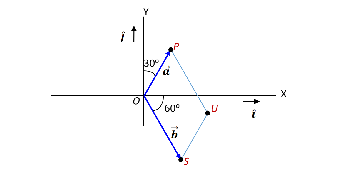 ## Vector Addition and Parallelogram Law

### Diagram Explanation
The provided diagram represents a classical example of vector addition using the parallelogram law. Let's break down the elements in the diagram:

1. **Axes**: 
   - X-axis: Horizontal axis labeled as \( X \), with a unit vector \( \hat{i} \) pointing to the right.
   - Y-axis: Vertical axis labeled as \( Y \), with a unit vector \( \hat{j} \) pointing upwards.

2. **Vectors**:
   - **Vector \( \vec{a} \)** is represented by the blue arrow \( OP \) starting at point \( O \) (the origin) and ending at point \( P \). This vector makes an angle of \( 30^\circ \) with the Y-axis.
   - **Vector \( \vec{b} \)** is represented by the blue arrow \( OS \) starting at point \( O \) and ending at point \( S \). This vector makes an angle of \( 60^\circ \) with the Y-axis.

3. **Construction**:
   - From point \( P \), draw a line parallel to \( \vec{b} \), ending at point \( U \).
   - From point \( S \), draw a line parallel to \( \vec{a} \), also ending at point \( U \).

4. **Resultant Vector**:
   - The diagonal \( OU \) of the parallelogram \( OPSU \) represents the resultant vector of \( \vec{a} \) and \( \vec{b} \).

### Mathematical Representation
The parallelogram law of vector addition states that if two vectors \( \vec{a} \) and \( \vec{b} \) are represented as adjacent sides of a parallelogram, then the resultant vector \( \vec{R} \) is represented by the diagonal of the parallelogram starting from the same point. 

\[ \vec{R} = \vec{a} + \vec{b} \]

### Angular Relationships
- The angle between the positive Y-axis and \( \vec{a} \) is \( 30^\circ \).
- The angle between the positive Y-axis and \( \vec{b} \) is \( 60^\circ \).

This diagram visually explains how vectors can be added together using the parallelogram law,