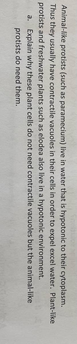 Animal-like protists (such as paramecium) live in water that is hypotonic to their cytoplasm.
Thus they usually have contractile vacuoles in their cells in order to expel excel water. Plant-like
protists and freshwater plants such as elodea also live in a hypotonic environment.
a. Explain why these plant cells do not need contractile vacuoles but the animal-like
protists do need them.
