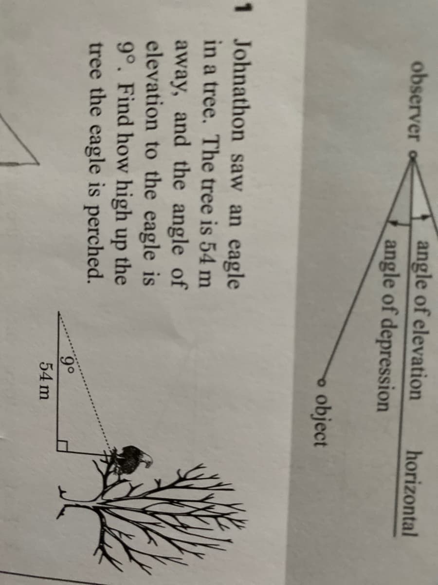 angle of elevation
angle of depression
observer
horizontal
o object
1 Johnathon saw an eagle
in a tree. The tree is 54 m
away, and the angle of
elevation to the eagle is
9°. Find how high up the
tree the eagle is perched.
90
54 m
