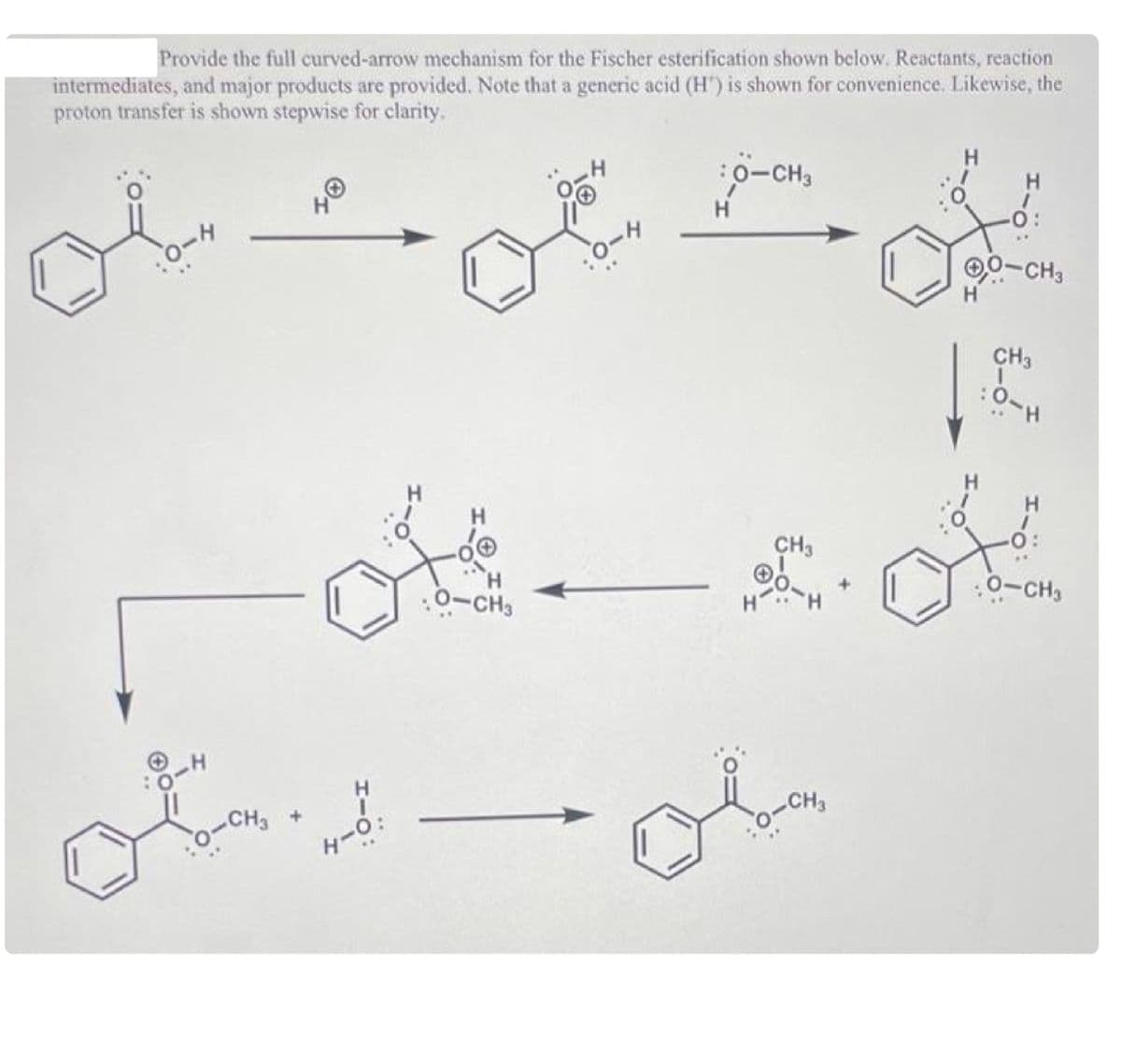 Provide the full curved-arrow mechanism for the Fischer esterification shown below. Reactants, reaction
intermediates, and major products are provided. Note that a generic acid (H') is shown for convenience. Likewise, the
proton transfer is shown stepwise for clarity.
0-H
[
O-H
O-CH,
40
H-O:
0-CH3
0-H
: 0-CH3
CH3
20-4
+
H
H
0:
-CH3
CH3
:0-H
о-н
: 0-CH3