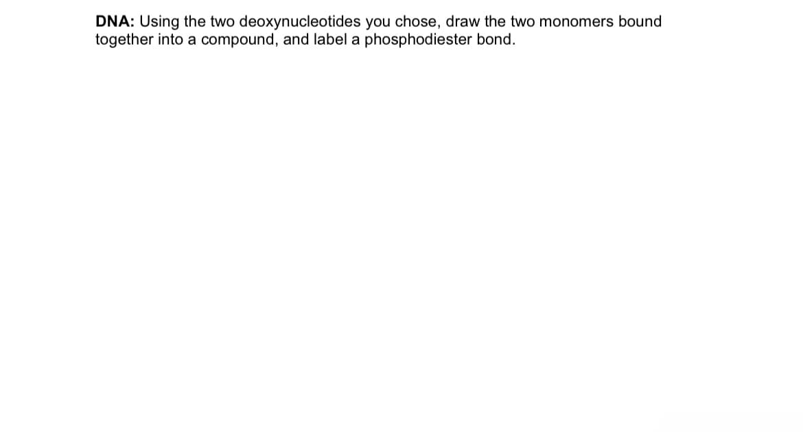 DNA: Using the two deoxynucleotides you chose, draw the two monomers bound
together into a compound, and label a phosphodiester bond.