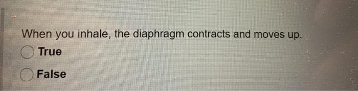 When you inhale, the diaphragm contracts and moves up.
True
False
