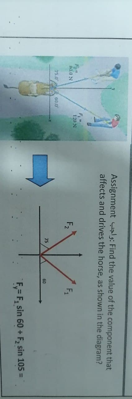 Assignment : Find the value of the component that
affects and drives the horse, as shown in the diagram?
80.0 N
F2
F1
75.0
60.0
75
60
F,= F, sin 60 + F, sin 105 =
