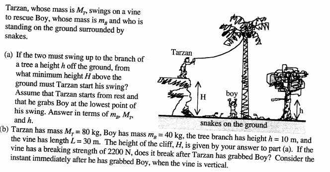 Tarzan, whose mass is M, swings on a vine
to rescue Boy, whose mass is m, and who is
standing on the ground surrounded by
snakes.
Tarzan
(a) If the two must swing up to the branch of
a tree a height h off the ground, from
what minimum height H above the
ground must Tarzan start his swing?
Assume that Tarzan starts from rest and
boy
H
that he grabs Boy at the lowest point of
his swing. Answer in terms of m, M,
and h.
snakes on the ground
(b) Tarzan has mass M,= 80 kg, Boy has mass m, = 40 kg, the tree branch has height h = 10 m, and
the vine has length L= 30 m. The height of the cliff, H, is given by your answer to part (a). If the
vine has a breaking strength of 2200 N, does it break after Tarzan has grabbed Boy? Consider the
instant immediately after he has grabbed Boy, when the vine is vertical.
%3D
