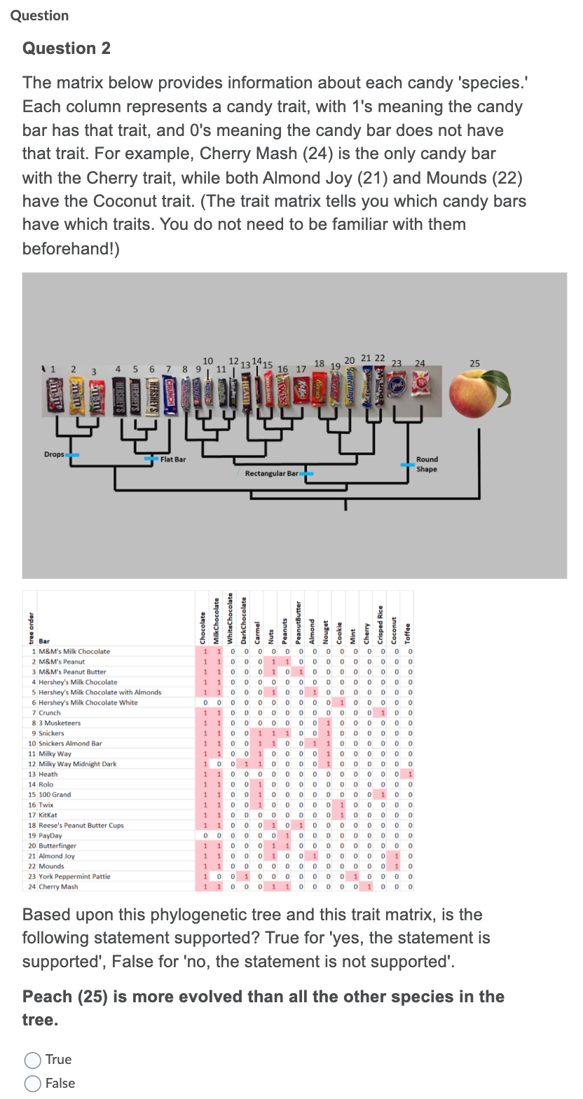 Question
Question 2
The matrix below provides information about each candy 'species.'
Each column represents a candy trait, with 1's meaning the candy
bar has that trait, and O's meaning the candy bar does not have
that trait. For example, Cherry Mash (24) is the only candy bar
with the Cherry trait, while both Almond Joy (21) and Mounds (22)
have the Coconut trait. (The trait matrix tells you which candy bars
have which traits. You do not need to be familiar with them
beforehand!)
20 21 22
18
19
10
121314
24
25
A 1 2 3
4 5 6 7 8 9
11
16 17
Drops
Flat Bar
Round
Shape
Rectangular Bar
Bar
10 0 0 0 o 0 0 0 0 0 o 0 0 0
1 1 0 0 0 1 1 0 0 0 0 0 0 0 0 0
1 1 0 0 0 1 0 1 0 0 0 o 0 0 0 0
1 1 0 0 0 0 o 0 0 0 0 o o 0 0 0
1 10 0 0 1 0 0 10 000 0 0 0
O 0 0 0 0 0 0 0 0 0 1 0 0 0 0 0
1 1 0 0 0 0 0 0 0 0 0 o 0 10 0
1 1 0 0 0 o 0 0 0 1 0 0 0 0 0 0
1 10 0 1 1 1 0 0 1 0 0 0 0 0 0
1 M&M's Milk Chocolate
1
2 M&M's Peanut
3 M&M's Peanut Butter
4 Hershey's Milk Chocolate
5 Hershey's Milk Chocolate with Almonds
6 Hershey's Milk Chocolate White
7 Crunch
8 3 Musketeers
9 Snickers
10 Snickers Almond Bar
110 0 1 0 0 0 0 1 0 0 0 0 0 0
10 0 1 1 0 0 0 0 1 0 0 0 0 0 0
1 1 0 0 0 0 0 0 0 0 0 o 0 0 0 1
1 1 0 0 1 0 o 0 0 0 0 0 0 0 0 0
1 1 0 0 1 0 o 0 0 0 0 o 0 1 0 0
110 0 1 00 0 0 0 1 0 0 0 0 0
1 1 0 0 0 0 0 0 0 0 1 0 0 0 0 0
1 1 0 0 0 1 0 1 0 0 0 0 0 0 0 0
0 0 0 0 0 0 1 0 0 0 0 0 0 0ο ο
1 1 0 0 0 1 1 0 0 0 0 0 0 0 0 0
11 Milky Way
12 Milky Way Midnight Dark
13 Heath
14 Rolo
15 100 Grand
16 Twix
17 Kitkat
18 Reese's Peanut Butter Cups
19 PayDay
20 Butterfinger
21 Almond Joy
22 Mounds
10 0 1 0 0 0 0 0 0 0 10 0 0 0
1 10 0 0 1 10 0 0 0 0 1 00 0
23 York Peppermint Pattie
24 Cherry Mash
Based upon this phylogenetic tree and this trait matrix, is the
following statement supported? True for 'yes, the statement is
supported', False for 'no, the statement is not supported'.
Peach (25) is more evolved than all the other species in the
tree.
True
False
