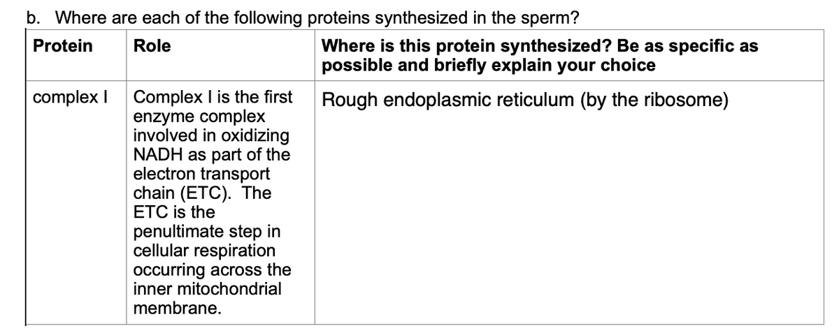 b. Where are each of the following proteins synthesized in the sperm?
Protein
Role
Where is this protein synthesized? Be as specific as
possible and briefly explain your choice
complex I Complex I is the first
enzyme complex
involved in oxidizing
NADH as part of the
electron transport
chain (ETC). The
ETC is the
penultimate step in
cellular respiration
occurring across the
inner mitochondrial
membrane.
Rough endoplasmic reticulum (by the ribosome)
