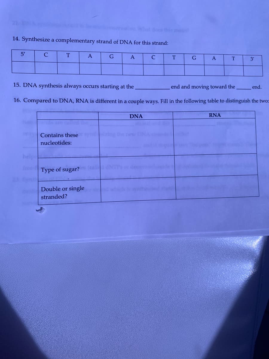 this me
14. Synthesize a complementary strand of DNA for this strand:
5'
C
T
A
A
C
T
A
T
3'
15. DNA synthesis always occurs starting at the.
end and moving toward the
end.
16. Compared to DNA, RNA is different in a couple ways. Fill in the following table to distinguish the two:
DNA
RNA
Contains these
nucleotides:
help
free
Type of sugar?
Double or single
stranded?
