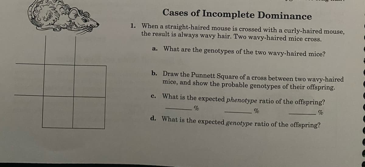 Cases of Incomplete Dominance
1. When a straight-haired mouse is crossed with a curly-haired mouse,
the result is always wavy hair. Two wavy-haired mice cross.
a. What are the genotypes of the two wavy-haired mice?
b. Draw the Punnett Square of a cross between two wavy-haired
mice, and show the probable genotypes of their offspring.
с.
What is the expected phenotype ratio of the offspring?
%
d. What is the expected genotype ratio of the offspring?
