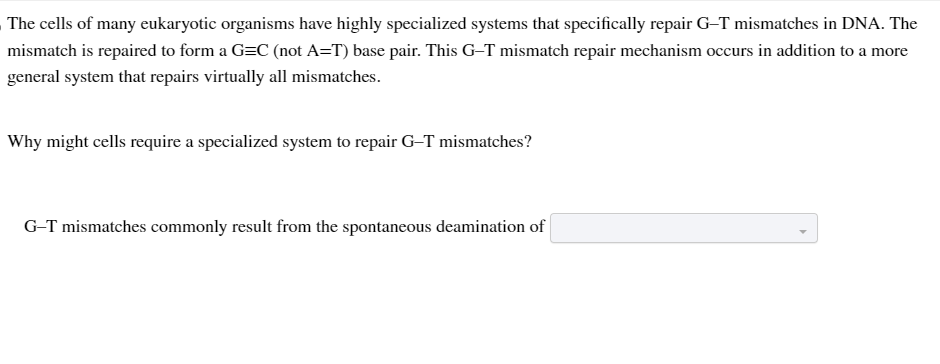 The cells of many eukaryotic organisms have highly specialized systems that specifically repair G-T mismatches in DNA. The
mismatch is repaired to form a G=C (not A=T) base pair. This G-T mismatch repair mechanism occurs in addition to a more
general system that repairs virtually all mismatches.
Why might cells require a specialized system to repair G-T mismatches?
G-T mismatches commonly result from the spontaneous deamination of