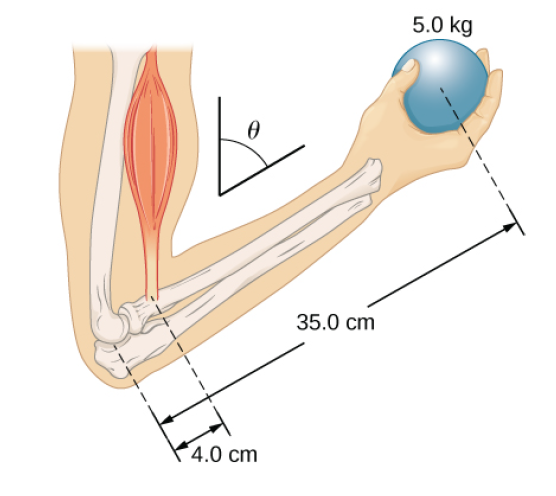 5.0 kg
35.0 cm
4.0 cm
