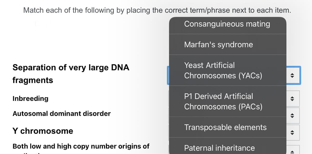 Match each of the following by placing the correct term/phrase next to each item.
Consanguineous mating
Separation of very large DNA
fragments
Inbreeding
Autosomal dominant disorder
Y chromosome
Both low and high copy number origins of
Marfan's syndrome
Yeast Artificial
Chromosomes (YACs)
P1 Derived Artificial
Chromosomes (PACS)
Transposable elements
Paternal inheritance
◆
<
41