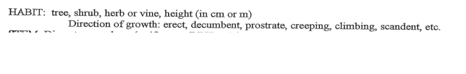HABIT: tree, shrub, herb or vine, height (in cm or m)
Direction of growth: erect, decumbent, prostrate, creeping, climbing, scandent, etc.
