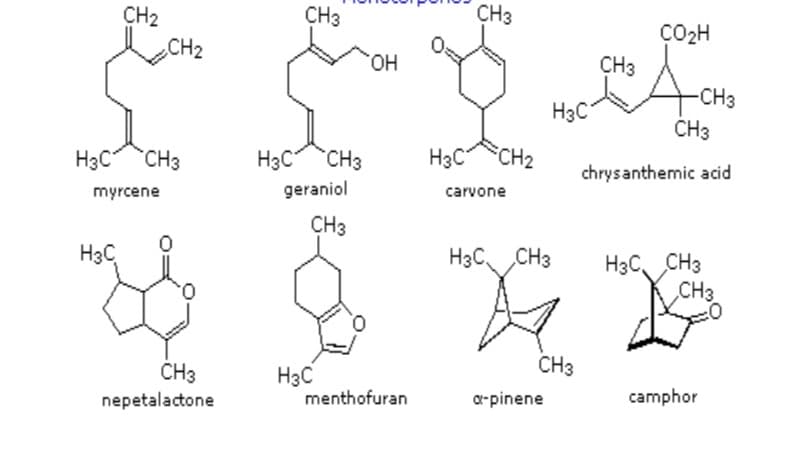 CH3
CH3
CH2
CH2
CO2H
CH3
HO,
-CH3
H3C
ČH3
H3C
CH3
H3C CH3
H3C
CH2
chrysanthemic acid
geraniol
carvone
myrcene
CH3
H3C, CH3
CH3
H3C
H3C CH3
CH3
H3C
menthofuran
CH3
a-pinene
camphor
nepetalactone
