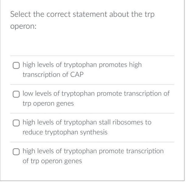 Select the correct statement about the trp
operon:
high levels of tryptophan promotes high
transcription of CAP
O low levels of tryptophan promote transcription of
trp operon genes
O high levels of tryptophan stall ribosomes to
reduce tryptophan synthesis
O high levels of tryptophan promote transcription
of trp operon genes