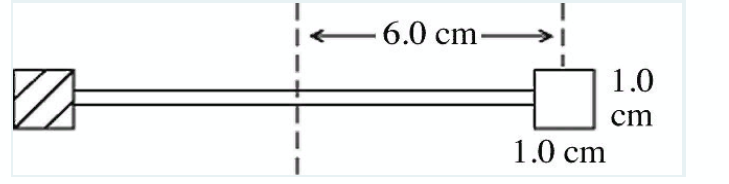 -6.0 cm-
1.0
cm
1.0 cm
