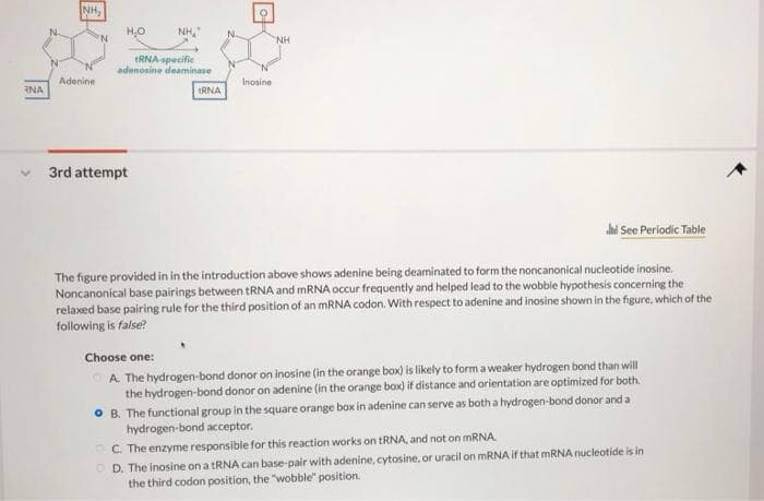 NH,
NH,"
'N
NH
tRNA specific
adenosine deaminase
Adenine
Inosine
RNA
tRNA
3rd attempt
ai See Periodic Table
The figure provided in in the introduction above shows adenine being deaminated to form the noncanonical nucleotide inosine.
Noncanonical base pairings between TRNA and MRNA occur frequently and helped lead to the wobble hypothesis concerning the
relaxed base pairing rule for the third position of an MRNA codon. With respect to adenine and inosine shown in the figure, which of the
following is false?
Choose one:
A The hydrogen-bond donor on inosine (in the orange box) is likely to form a weaker hydrogen bond than will
the hydrogen-bond donor on adenine (in the orange box) if distance and orientation are optimized for both.
O B. The functional group in the square orange box in adenine can serve as both a hydrogen-bond donor and a
hydrogen-bond acceptor.
C. The enzyme responsible for this reaction works on TRNA, and not on MRNA.
O D. The inosine on a tRNA can base-pair with adenine, cytosine, or uracil on MRNA if that MRNA nucleotide is in
the third codon position, the "wobble" position.
orur

