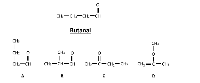 CH3
I
CH2
O
I
CH₂-CH
||
A
CH3 CH2-CH₂-CH
CH3
Bal
Butanal
CH3-CH-CH
В
O
||
||
CH3-C-CH₂ CH3
с
CH3
T
O
CH₂=C-CH3
D