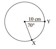 10 cm
Y
70°
