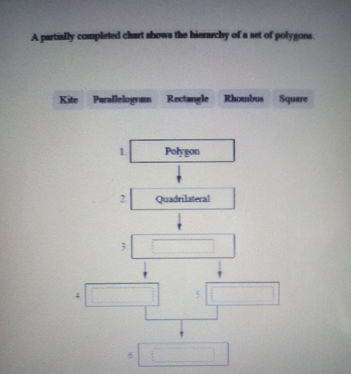 A partially completed chart abows the hierarchy of a set of polygons.
Kite Parallelogram Rectangle Rhombus
ambs
Polygon
2 Quadrilateral
