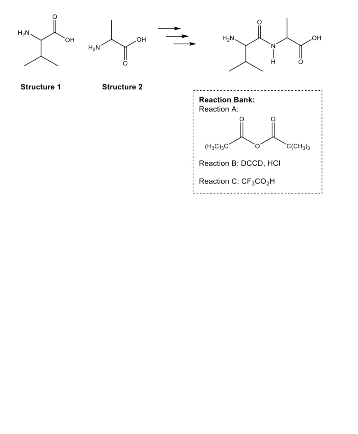 H₂N.
Structure 1
ОН
H₂N
.OH
Structure 2
HaN.
Reaction Bank:
Reaction A:
'N'
لز
(H3CC"
Reaction B: DCCD, HCI
Reaction C: CF3CO2H
ہ
C(CH3)3
OH