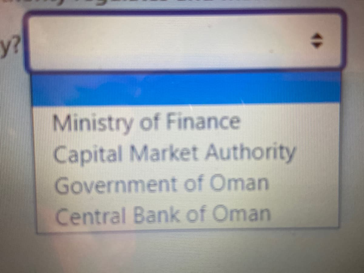 y?
Ministry of Finance
Capital Market Authority
Government of Oman
Central Bank of Oman
