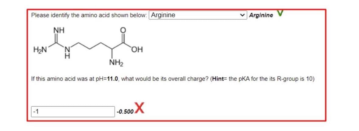 Please identify the amino acid shown below: Arginine
NH
H₂N
NH₂
-1
OH
If this amino acid was at pH=11.0, what would be its overall charge? (Hint= the pKA for the its R-group is 10)
Arginine
-0.500 X