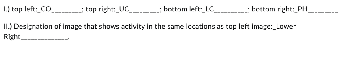 I.) top left:_CO_
; top right:_UC_
__; bottom left:_LC__
_; bottom right:_PH_
II.) Designation of image that shows activity in the same locations as top left image: Lower
Right