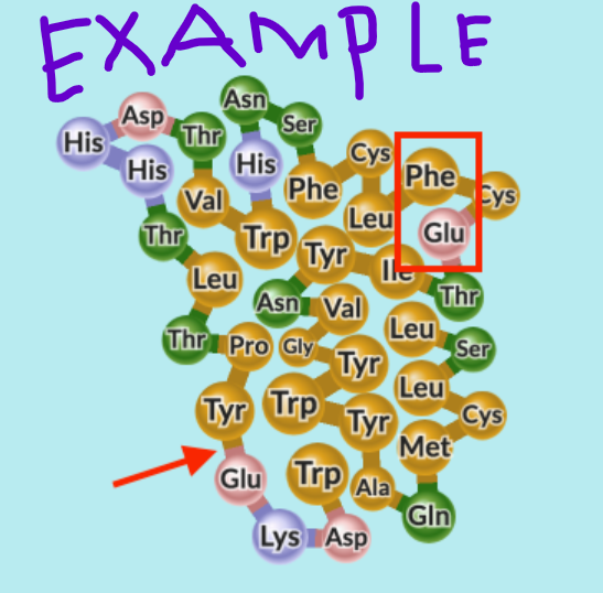 EXAMPLE
Ser
His
Asp
His
Thr
Cys
Phe
Phe
Val
Cys
Leu
Glu
Trp Tyr lle
Asn Val
Thr
His
Leu
Thr Pro Gly
Tyr Trp
Leu
Thr
Glu Trp Ala
Lys Asp
Tyr
Leu
Tyr Cys
Met
Ser
Gln